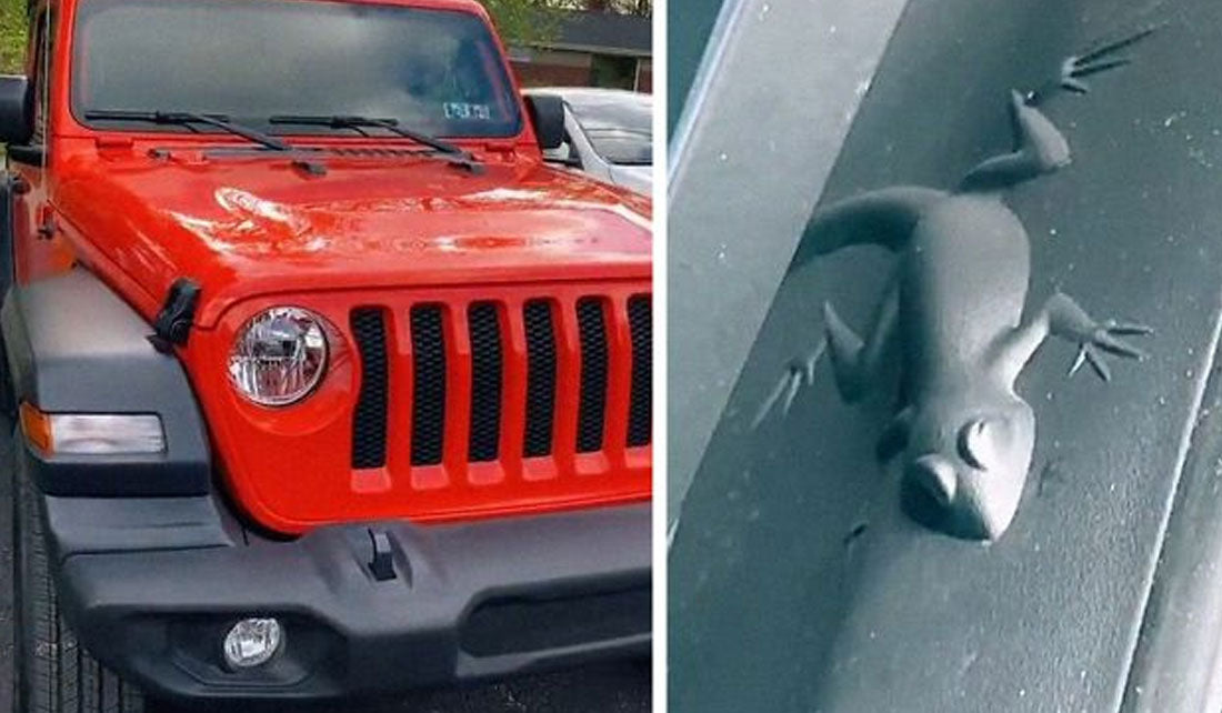 Jeep Lizard